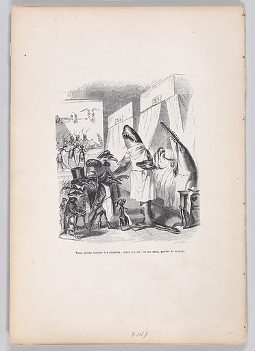 We are going to incise the muscles, saw the bones, in a word, heal the sick, from "Scenes from the Private and Public Life of Animals"