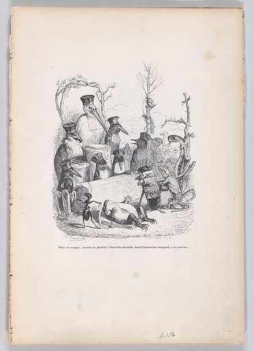 The further we go, the less we penetrate the horrible mystery of which the unfortunate toad was a victim, from "Scenes from the Private and Public Life of Animals"
