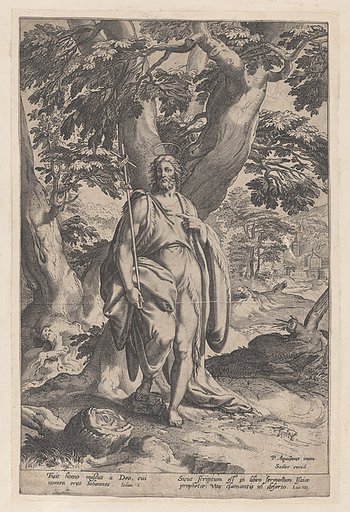Saint John the Baptist in the wilderness