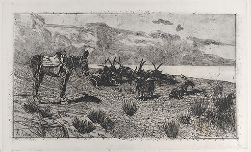 Donkeys on a seashore in winter