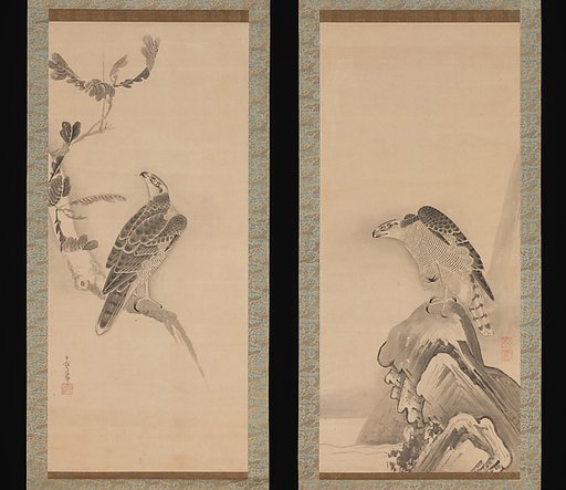 Hawks