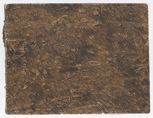Paste paper with brown design