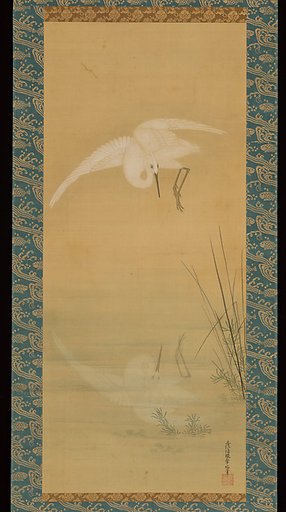 Heron