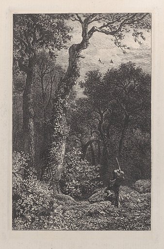 Shooting a Woodcock