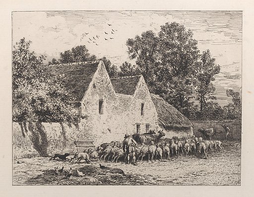 A Farm