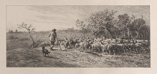 Arrival in the Field