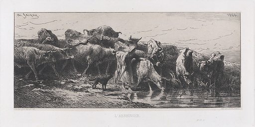 The Watering Hole