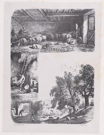 November, from "Album of Rustic Subjects"
