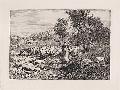 Troupeau de Porcs