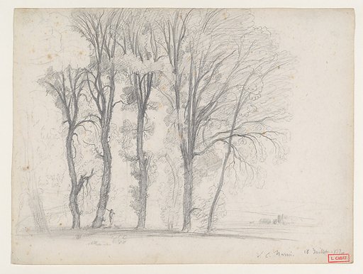 A Stand of Trees