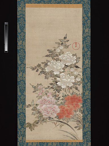 Peonies