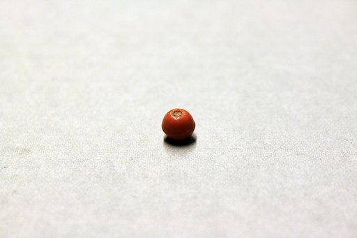 Beads