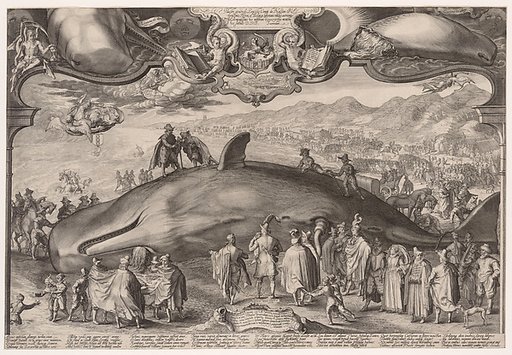 Beached Whale at Wijk aan Zee