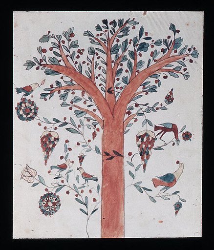 Drawing of Tree with Birds and Fruit