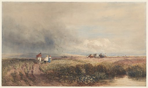 Journey Home