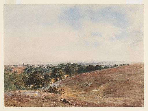 View on the South Downs