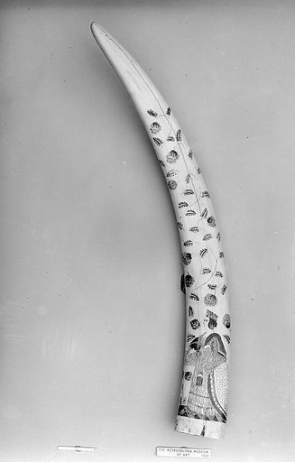Decorated Walrus Tusk