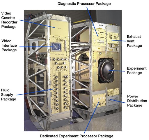 Microgravity