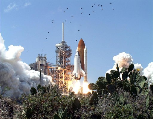 KSC-01PADIG-204