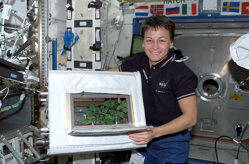 International Space Station (ISS)