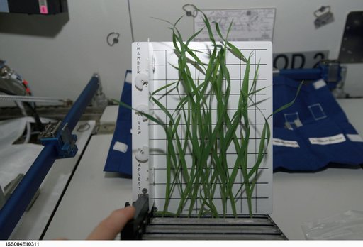 Biotechnology