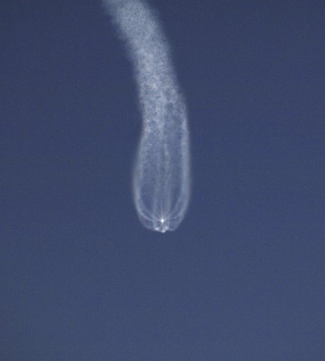 Expedition 11 Launch