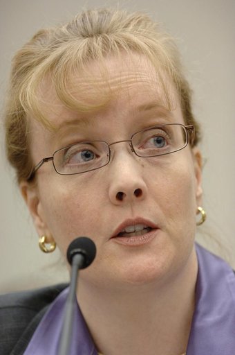 Fiscal Year 2007 House Budget Hearing