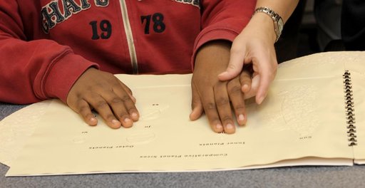Disability Awareness Activity