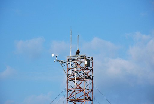 KSC-2010-2835