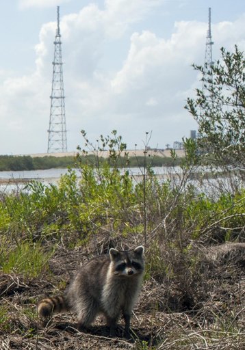 Wildlife April 2013