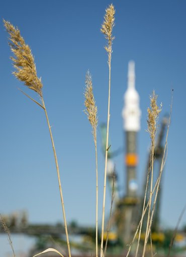 Expedition 36 Soyuz TMA-09M Rollout