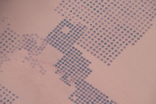 53349167921_a7b2d278e6_o (1)