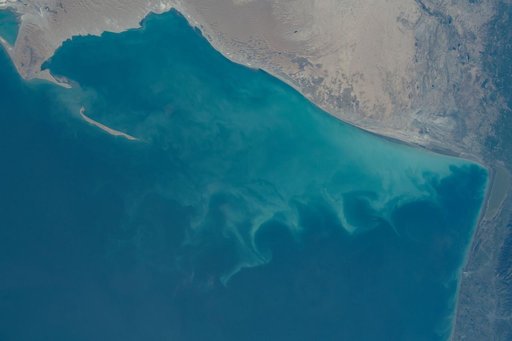 53527473179_46a2a7c137_o