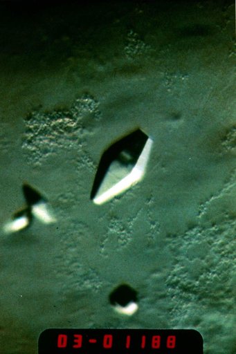 Microgravity