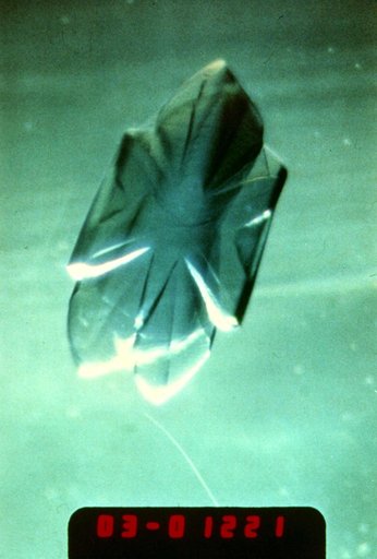 Microgravity