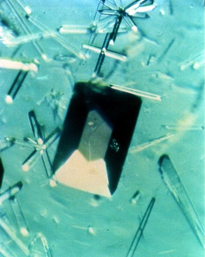 Microgravity