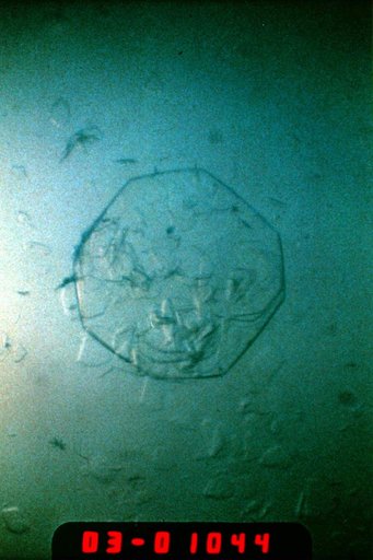 Microgravity