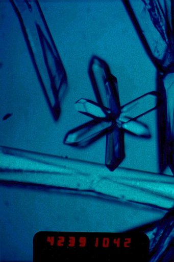 Microgravity