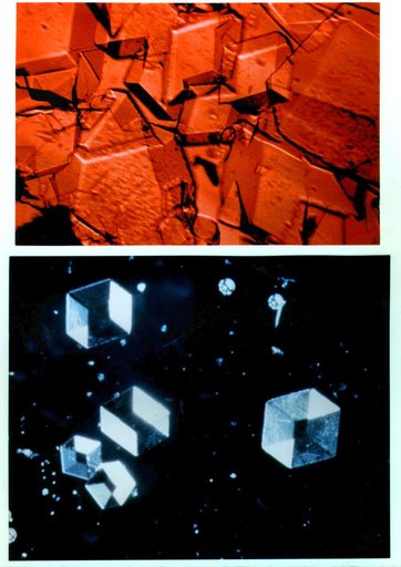Microgravity