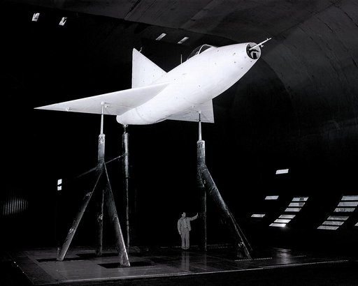 Delta Wing Test Model in Ames 40x80 Foot Wind Tunnel.