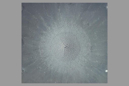 ARC-1969-AC87-0061-4