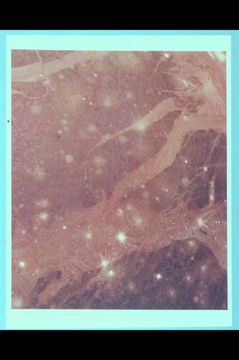 ARC-1979-AC79-7095