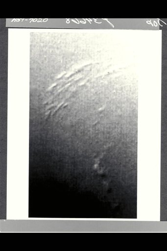 ARC-1989-A89-7020