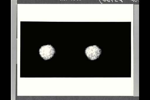 ARC-1989-A89-7021