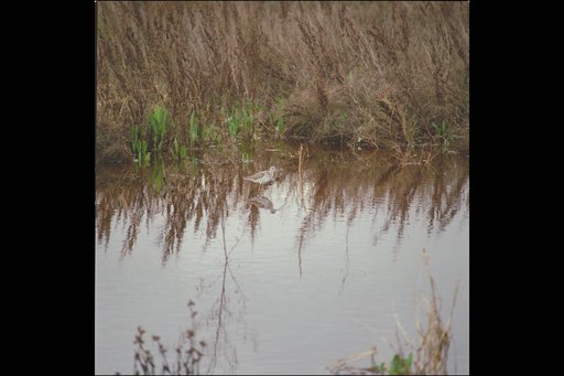 ARC-1991-AC91-0121-1