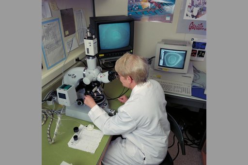 ARC-1993-AC93-0265-21
