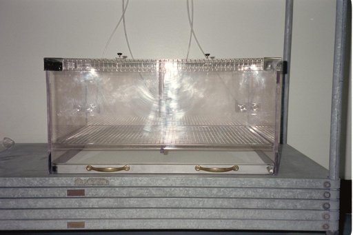 ARC-1994-AC94-0289-25