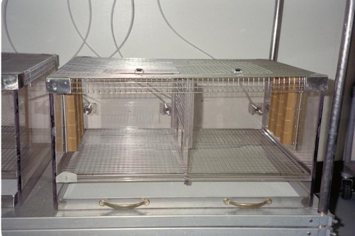 ARC-1994-AC94-0289-37