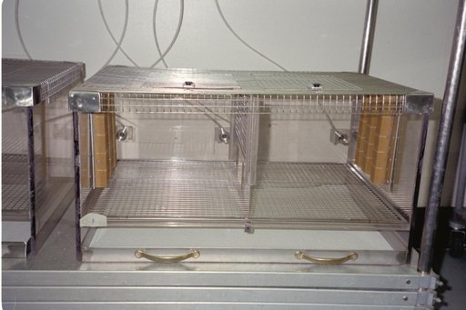 ARC-1994-AC94-0289-38
