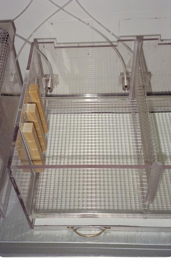 ARC-1994-AC94-0289-40